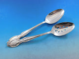 Precious Mirror International Rogers Silverplate Flatware Set 12 Service 85 pcs