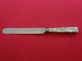 Lap Over Edge Acid Etched by Tiffany Sterling Silver Dinner Knife w/ Tomatoes