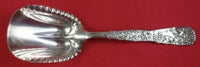 Vine by Tiffany and Co Sterling Silver Cracker Scoop with Grapes 9 1/4" Antique