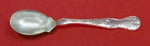 American Garden by Tiffany and Co Sterling Silver Ice Cream Spoon Custom