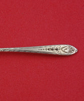 Faneuil Engraved by Tiffany and Co Sterling Silver Salt Spoon 2 1/8" Antique