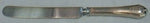 Shirley by International Sterling Silver Dinner Knife 10"