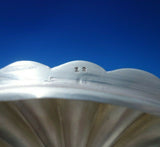 Hungarian Sterling Silver Tea Caddy Oval Fluted with 3-D Rose Finial (#5512)