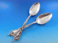 Intaglio by Reed and Barton Sterling Silver Flatware Set 12 Service 50 pieces