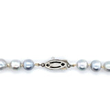 Long 24 Inch Strand of Blue Akoya Pearls (#J5392)