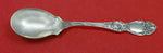 Lucerne by Wallace Sterling Silver Ice Cream Spoon Custom Made 5 3/4"