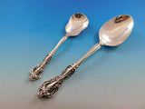 Michelangelo by Oneida Sterling Silver Flatware Set for 12 Service 53 pieces