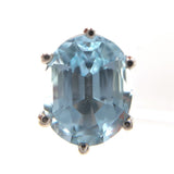 Platinum Oval 5.38ct TW Genuine Natural Aquamarine Stud Earrings (#J6472)