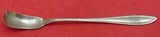 Godroon by Towle Sterling Silver Horseradish Scoop Original 6 3/4"