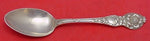 Wild Rose by Watson Sterling Silver Teaspoon 5 7/8"