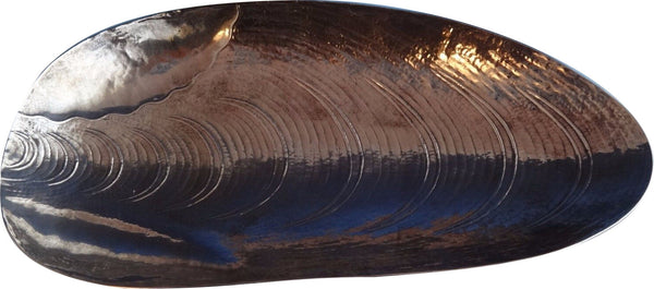 Pedro Batista Portuguese .833 Sterling Clam Shell Bowl 10 1/2" Long (#0861)