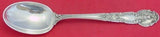 Renaissance by Tiffany and Co Sterling Silver Serving Spoon 8 1/2"