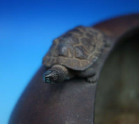 Bronze Planter Japanese Style with Applied Turtles 9 1/2" x 17" (#6383)