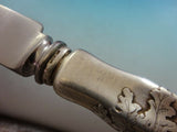 Lap Over Edge Acid Etched by Tiffany Sterling Silver Dinner Knife w/ Tomatoes