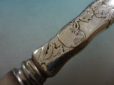 Lap Over Edge Acid Etched by Tiffany Sterling Silver Dinner Knife w/ Tomatoes