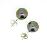 14k White Gold 9.8mm Tahitian South Sea Pearl Earrings (#J4403)