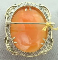 14K Gold Oval Genuine Natural Shell Cameo Brooch with Applied Flowers (#J2146)