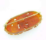 14k Gold Chinese Export Carved Genuine Natural Carnelian Pin (#J5060)