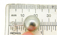 Grey Tahitian Pearl Earrings with 14k White Gold Posts (#J4085)