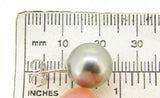 Grey Tahitian Pearl Earrings with 14k White Gold Posts (#J4085)