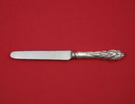 Ailanthus by Tiffany Sterling Silver Tea Knife HH Blunt Plated Blade 7 3/8"