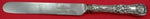 English King by Tiffany and Co Sterling Silver Dinner Knife Blunt SP 10 5/8"