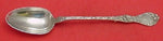Les Cinq Fleurs by Reed & Barton Sterling Stuffing Spoon w/Button 12 1/4"