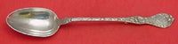 Les Cinq Fleurs by Reed & Barton Sterling Stuffing Spoon w/Button 12 1/4"