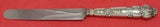 Renaissance by Tiffany and Co Sterling Silver Dinner Knife Blunt Figural 9 3/4"