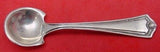 Potomac by Ssmc-Saart Sterling Silver Salt Spoon 2 3/8"