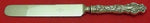 Irian by Wallace Sterling Silver Dinner Knife Blunt Figural 9 1/2"