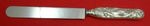 Chrysanthemum by Tiffany and Co Sterling Silver Dinner Knife Blunt 10 1/4"