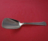 Koldring aka Arvesolv #5 by Hans Hansen Sterling Silver Nut Spoon 4 3/4"