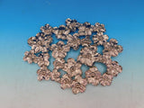 White Orchid by Michael Aram Nickelplate Trivet Floral Motif Decorative - New