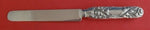 Chrysanthemum by Tiffany & Co Sterling Silver Breakfast Knife HHAS Blunt 7 1/2"