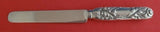 Chrysanthemum by Tiffany & Co Sterling Silver Breakfast Knife HHAS Blunt 7 1/2"