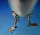 German 800 Silver Poached Egg cups Set of 6 with Chicken Feet (#6242)