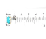 14k White Gold Genuine Natural Kingman Turquoise Stud Earrings (#J6112)