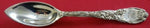 Chrysanthemum by Tiffany and Co Sterling Silver Grapefruit Spoon Original 5 3/4"