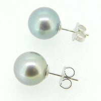 11.2mm Grey South Sea Pearl 14k Gold Earrings (#J4078)