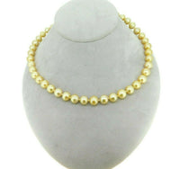 14k Yellow Gold 9mm Golden South Sea Pearl Necklace (#J4573)