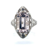 14k White Gold Filigree 3.35ct Genuine Natural Morganite Ring (#J4986)