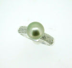 14k White Gold 9mm Pistachio Tahitian Pearl Ring (#J5104)