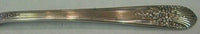 Orleans by International / Century Sterling Silver Master Butter Flat Handle 7"
