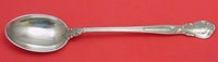 Chantilly by Gorham Sterling Silver Stuffing Spoon w/ Button 12 1/4"