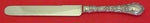 Dauphin by Durgin-Gorham Sterling Silver Regular Knife Durgin Blunt 8 1/4"