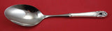 Spring Glory by International Sterling Silver Casserole Spoon WS 11 1/8"
