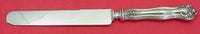 Wedding Rose by Watson Sterling Silver Dinner Knife Blunt 10" Flatware