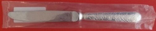 Jardin D'Eden by Christofle Sterling Silver Regular Size Knife 8" New