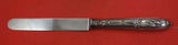 Compiegne by Odiot French Sterling Silver Dinner Knife blunt 10 3/8"